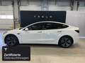 Tesla Model 3 Rear-Wheel Drive Weiß - thumbnail 3