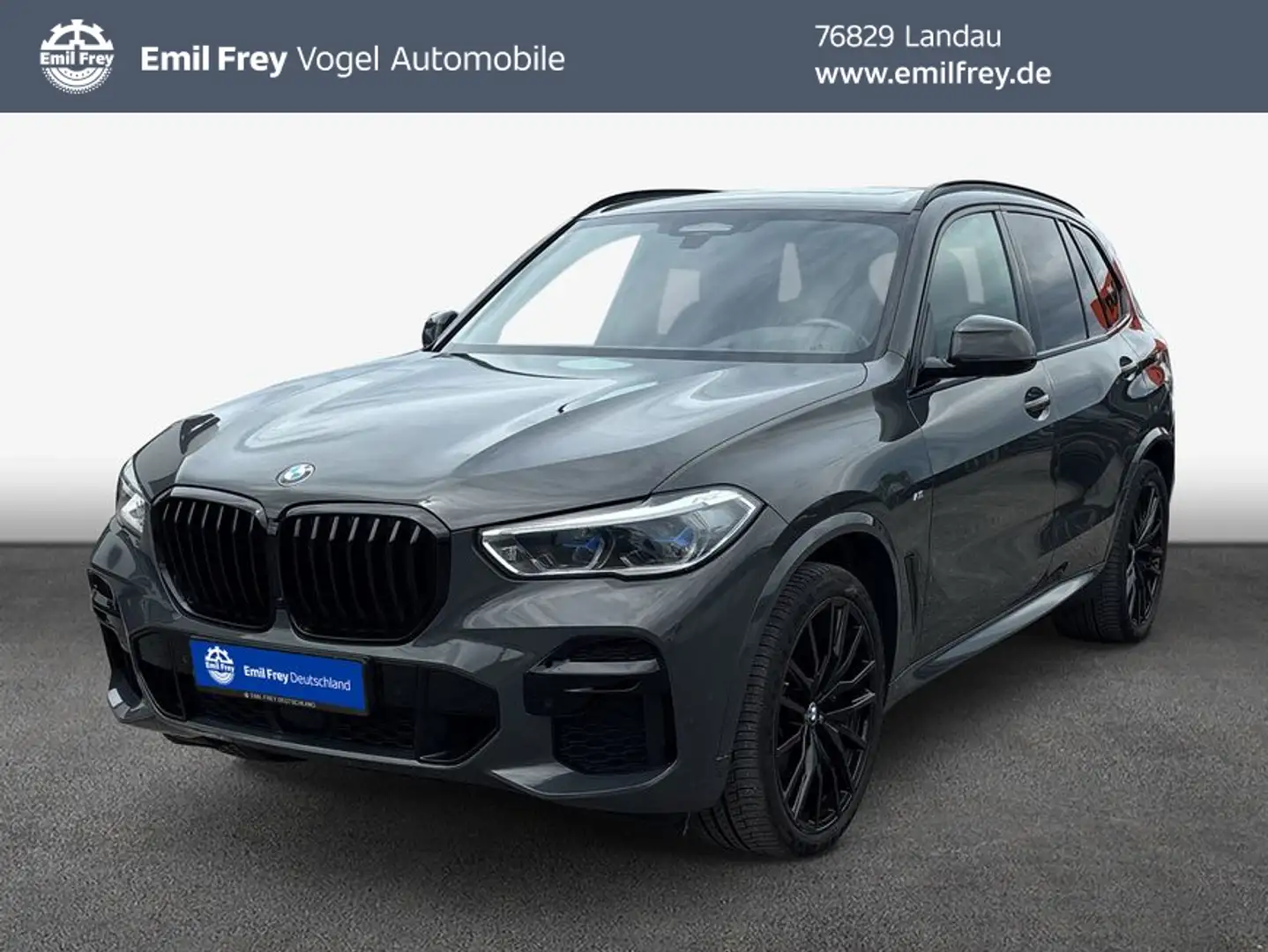 BMW X5 xDrive30d *HuD*Panorama*Sportpaket* Gris - 1