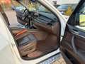 BMW X5 xDrive30d Weiß - thumbnail 10