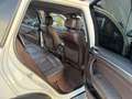 BMW X5 xDrive30d Weiß - thumbnail 13