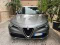 Alfa Romeo Stelvio 2.2 t Executive Q4 190cv auto my19 Grigio - thumbnail 1