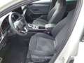 CUPRA Leon 1.5 eTSI DSG Grau - thumbnail 7