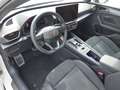 CUPRA Leon 1.5 eTSI DSG Grau - thumbnail 8