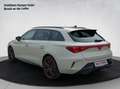 CUPRA Leon 1.5 eTSI DSG Grau - thumbnail 3