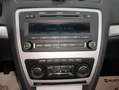 Skoda Octavia 1.6 TDI Grau - thumbnail 19