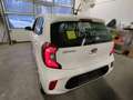Kia Picanto 1,0 MPI Titan Weiß - thumbnail 2