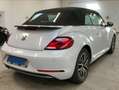 Volkswagen New Beetle Allstar Weiß - thumbnail 3