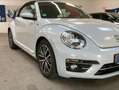 Volkswagen New Beetle Allstar Weiß - thumbnail 4