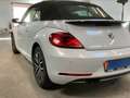 Volkswagen New Beetle Allstar Weiß - thumbnail 2