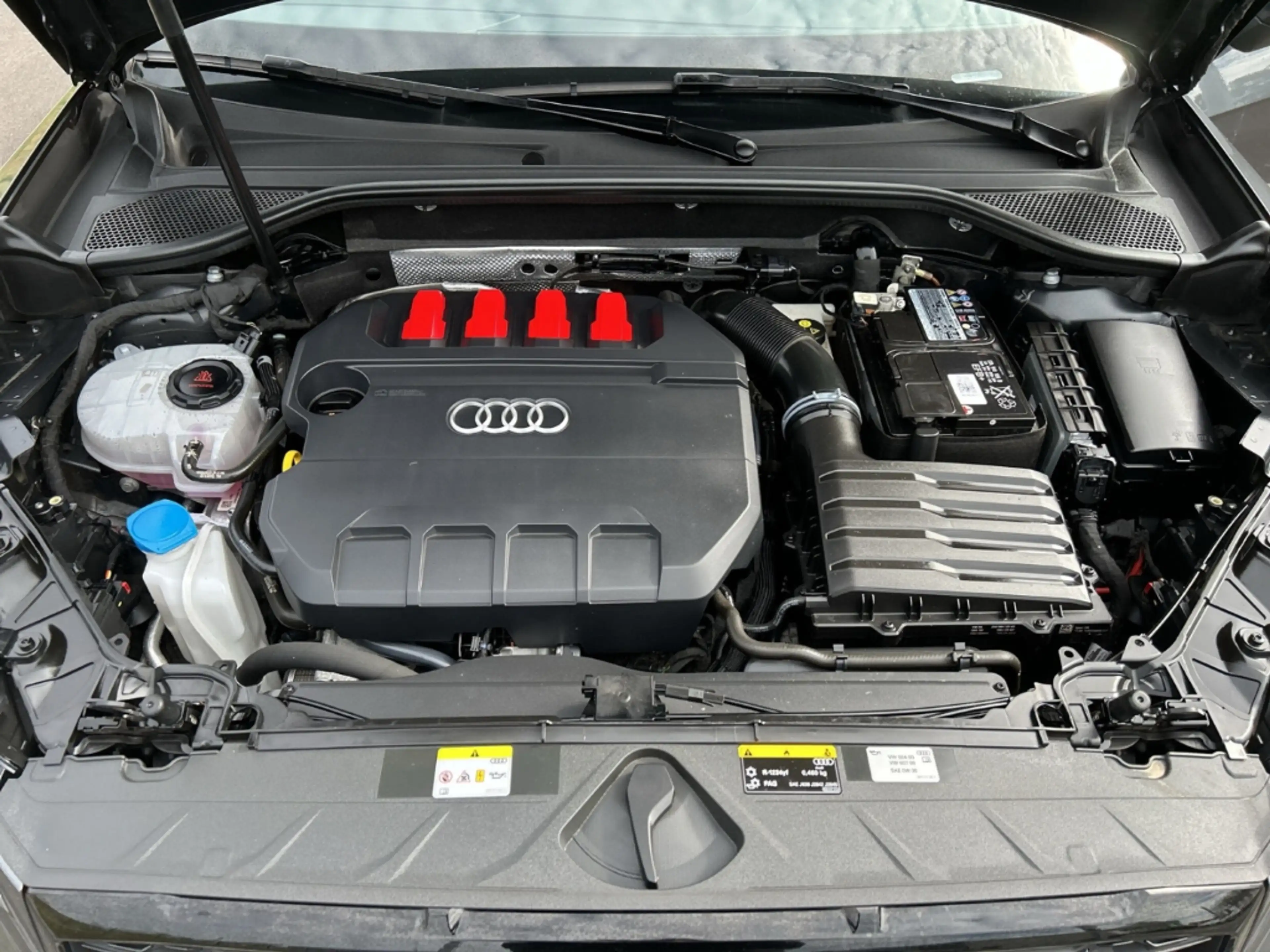 Audi SQ2 2.0 TFSI S tronic quattro El. Panodach Navi Digita — photo 15