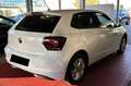 Volkswagen Polo 1.0 EVO 80 CV 5p. Comfortline BlueMotion Technolog Bianco - thumbnail 13