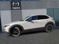 Mazda CX-30 e-SKYACTIV-G 140 FWD 6AT HOMURA Brun - thumbnail 2