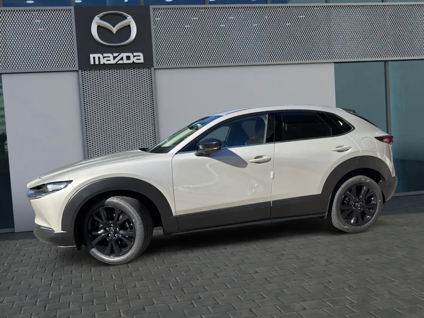 Mazda CX-30 e-SKYACTIV-G 140 FWD 6AT HOMURA Brun - 2