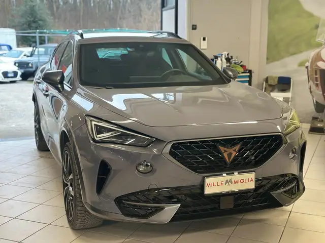 CUPRA Formentor 2.0 tsi 4drive 190cv dsg