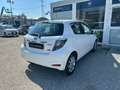 Toyota Yaris 5 Porte 1.5 Hybrid Lounge Bianco - thumbnail 5
