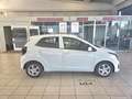 Kia Picanto 1.2 DPI 79CH ACTIVE Wit - thumbnail 4
