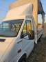 Volkswagen LT 46 CASSONE CENTINATO Blanc - thumbnail 2