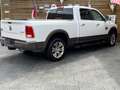 Dodge RAM 1500 Longhorn 5.7L LPG Memory Navi Leder Weiß - thumbnail 15
