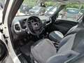 Fiat 500L 1.3 MULTIJET 85cv LOUNGE Bianco - thumbnail 7