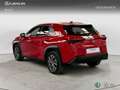 Lexus UX 200 SUV BUSINESS (EV-2WD) Eléctrico (204CV) Transmis Rojo - thumbnail 2