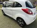 Ford Ka/Ka+ Ka 1.3 Open Collection 70cv per neopatentati Bianco - thumbnail 7
