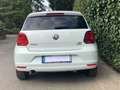 Volkswagen Polo Polo 1.4 TDI (Blue Motion Technology) Comfortline Weiß - thumbnail 6