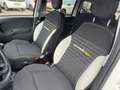 Fiat Panda 1.0 Hybrid Pandina Wit - thumbnail 17