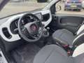 Fiat Panda 1.0 Hybrid Pandina Wit - thumbnail 8