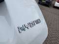 Fiat Panda 1.0 Hybrid Pandina Wit - thumbnail 19