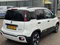 Fiat Panda 1.0 Hybrid Pandina Wit - thumbnail 5