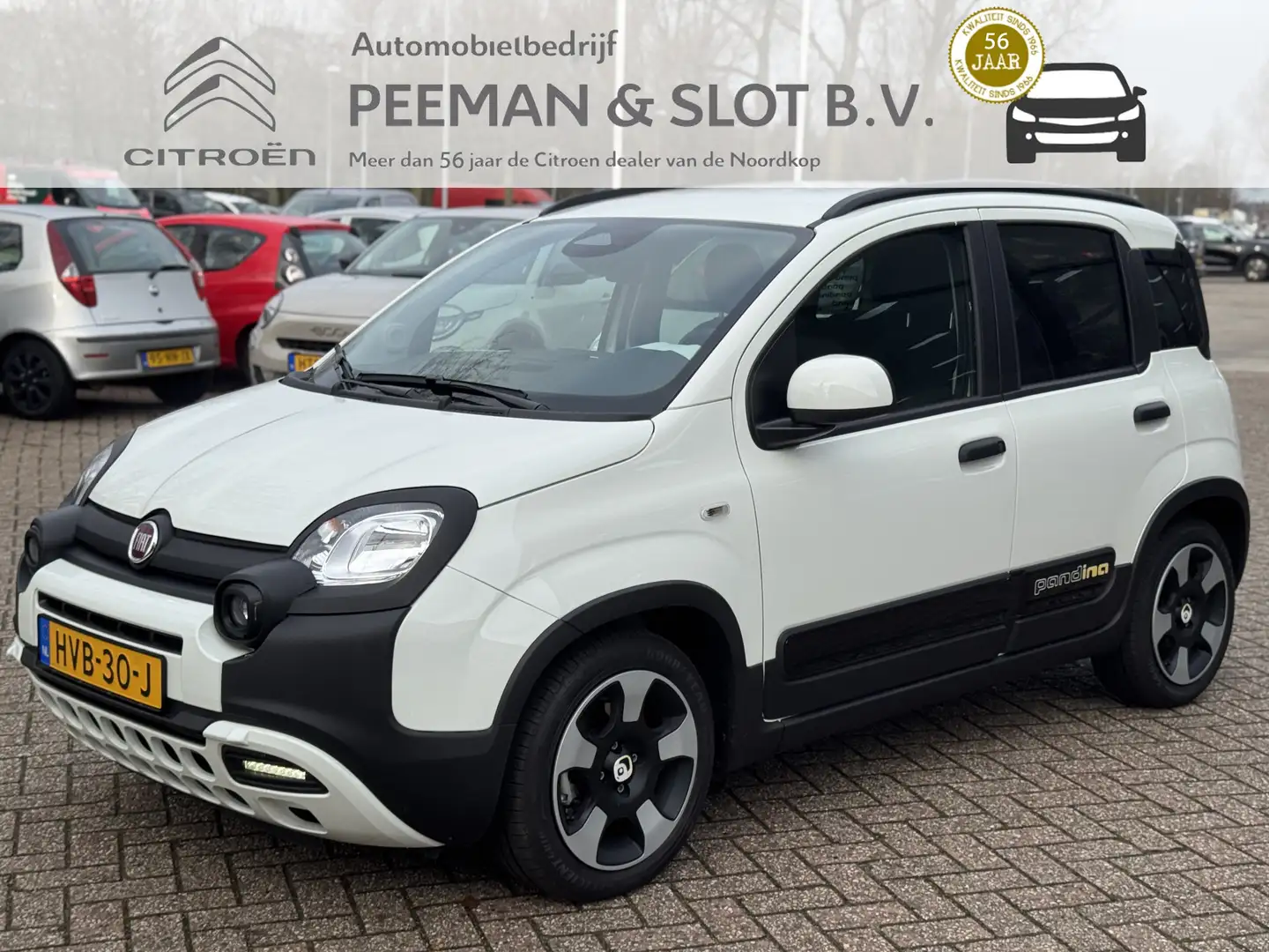 Fiat Panda 1.0 Hybrid Pandina Wit - 1
