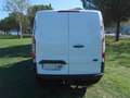 Ford Transit Custom FT 260 L1 Van Ambiente 105 Blanco - thumbnail 8