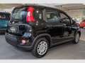 Fiat Panda Hybrid 1.0 Klima PDC Temp. dig.Kombiinstr. Schwarz - thumbnail 3