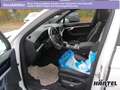 Volkswagen Touareg ELEGANCE EHYBRID 3.0 V6 TSI TIPTRONIC Navi Weiß - thumbnail 4