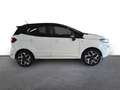 Ford EcoSport ST-LINE NAVI / PDC / KAMERA / XENON / WINTER-PAKET Blanc - thumbnail 8