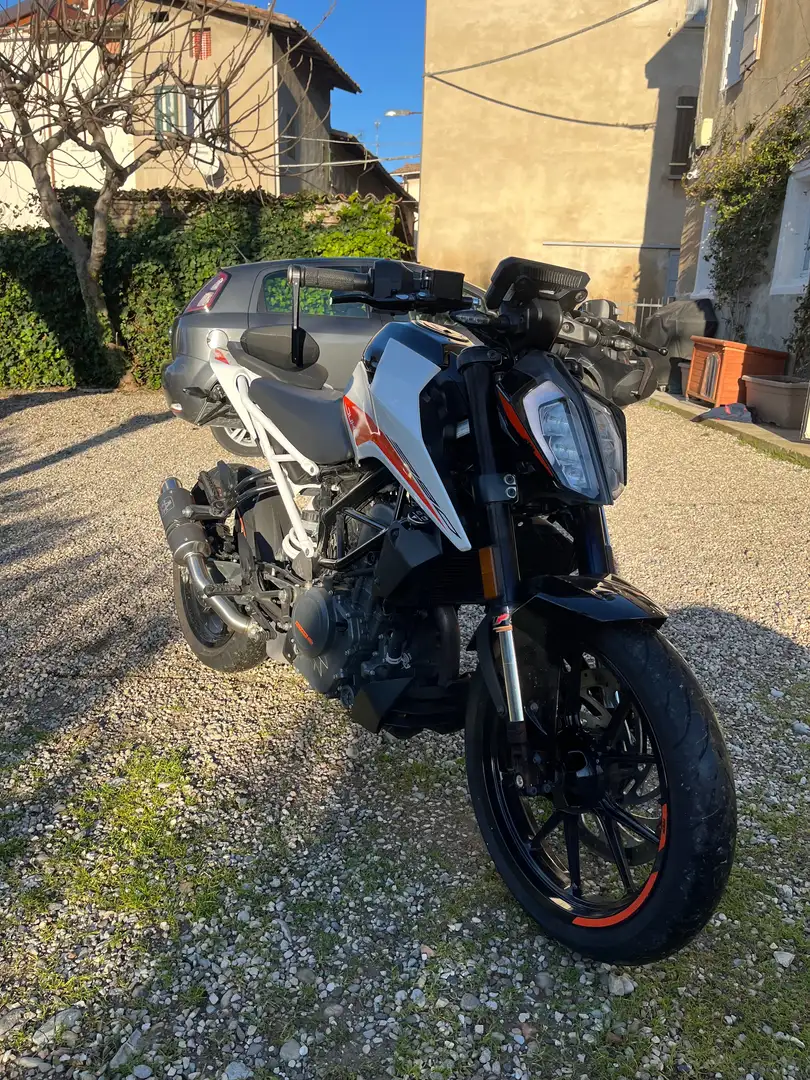KTM 390 Duke - 2