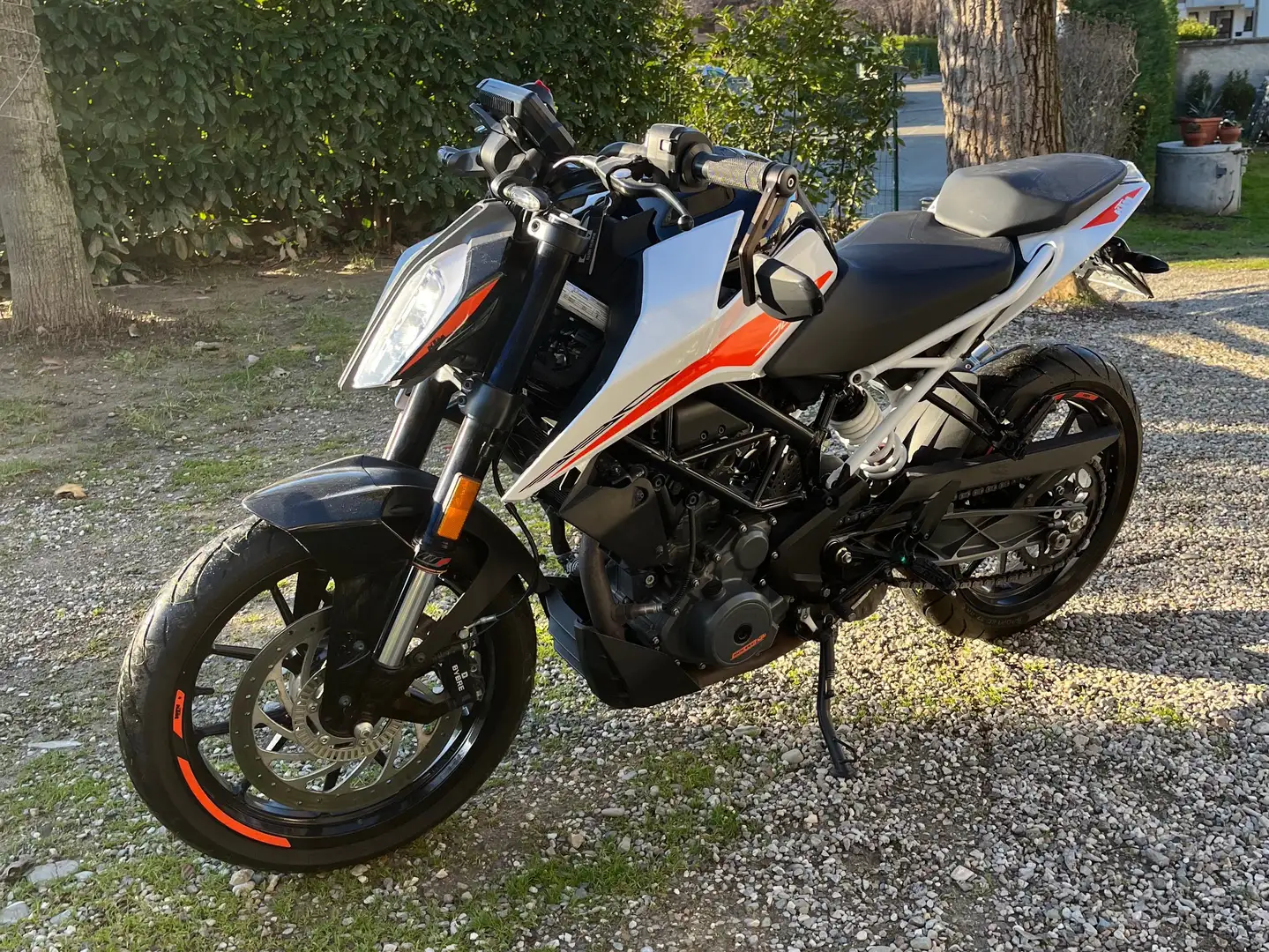 KTM 390 Duke - 1