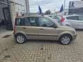 Fiat Panda Panda II 2003 1.2 Alessi Marrone - thumbnail 4