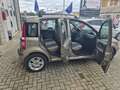 Fiat Panda Panda II 2003 1.2 Alessi Marrone - thumbnail 5