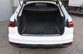 Audi A6 allroad 55 tdi quattro HUD*LEDER*LED*StHz. Weiß - thumbnail 20