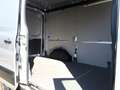 Ford Transit 350 L2H2 Kasten Trend Ladesicherungs Paket Silber - thumbnail 10