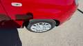 Fiat Panda Pandina ICON Rot - thumbnail 6
