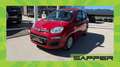 Fiat Panda Pandina ICON Rot - thumbnail 1