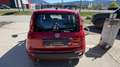 Fiat Panda Pandina ICON Rot - thumbnail 9