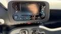 Fiat Panda Pandina ICON Rot - thumbnail 17