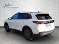 Volkswagen Tiguan ENERGY 1,5 eHybrid AHK|360|ACC|MATRIX|NAVI Weiß - thumbnail 4