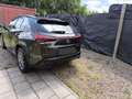 Lexus UX 250h Business Edition - thumbnail 12