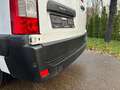 Renault Master III Kasten L2H2 HKa 3,3t*REGALE*KAMERA* Blanc - thumbnail 21