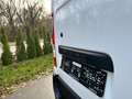 Renault Master III Kasten L2H2 HKa 3,3t*REGALE*KAMERA* Blanc - thumbnail 19
