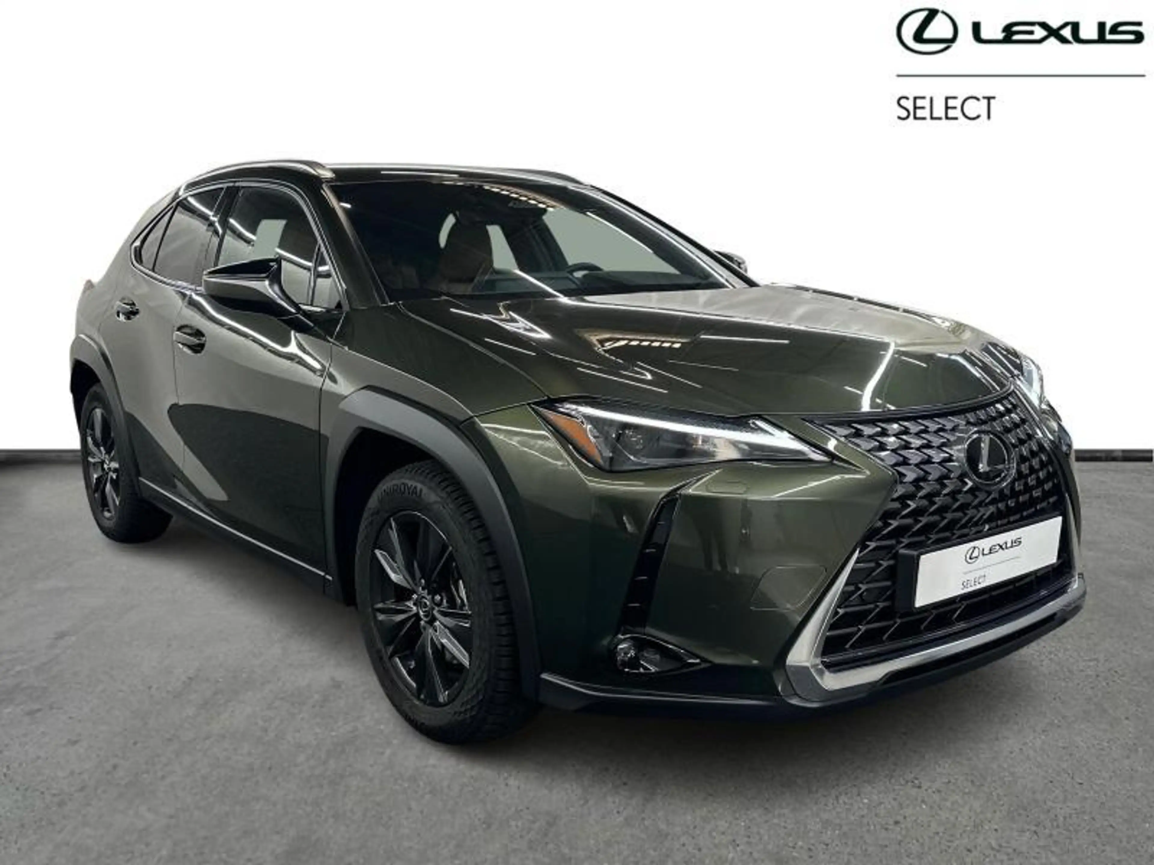 Lexus UX 300h 199hp HEV Business Line | winter pack | all season — photo 16
